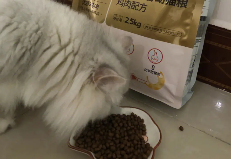 猫粮排行榜前十名