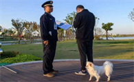 上海市养犬规定最新
