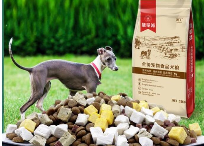 细狗如何挑选好狗粮