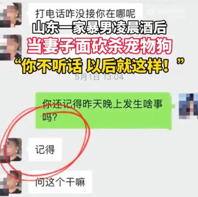 家暴男被指当妻子面砍杀宠物狗,当地有关部门已介入调查 家暴男被指当妻子面砍杀宠物狗,当地有关部门已介入调查
