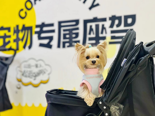 全国10城同期为爱发声，世纪金源商管集团与云沭共同举办“世纪金源宠爱计划”公益活动