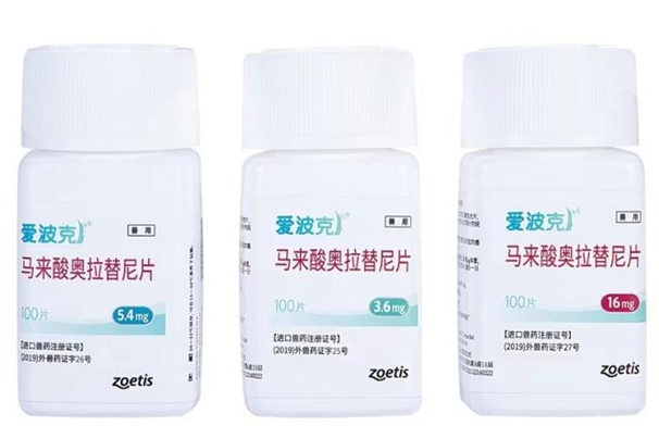 除了爱波克止痒药怎么用,狗狗患上皮肤病还需要注意这些! 除了爱波克止痒药怎么用,狗狗患上皮肤病还需要注意这些!