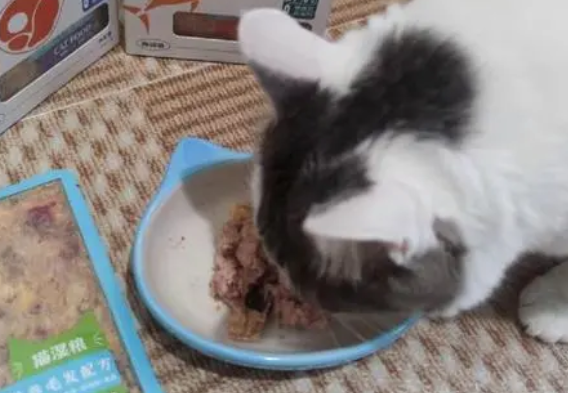 猫粮狗粮市场营销