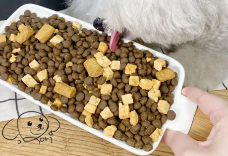 冻干狗粮如何存放最好