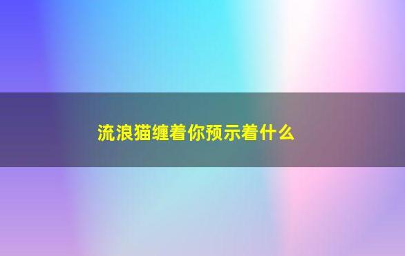 流浪猫缠着你,预示着什么? 流浪猫缠着你,预示着什么?
