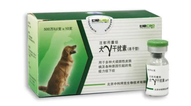 狗狗干扰素的主要功能