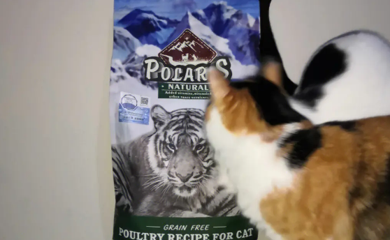 极耀猫粮推荐!小众猫粮品控绝佳 极耀猫粮推荐!小众猫粮品控绝佳