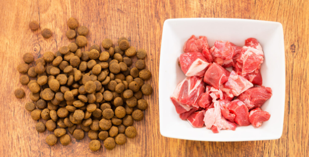 如何挑选博美犬狗粮品牌呢 如何挑选博美犬狗粮品牌呢