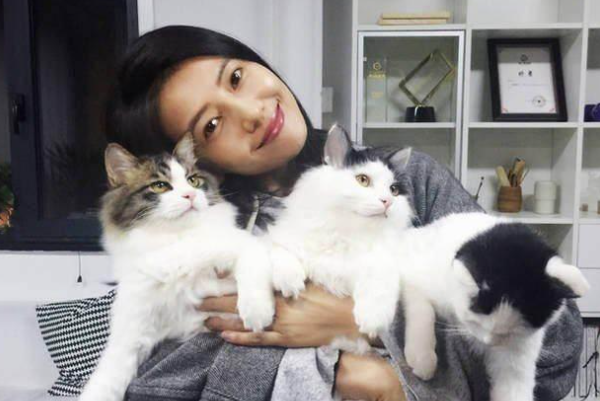 两猫对峙一只猫叫一只猫不叫呢? 两猫对峙一只猫叫一只猫不叫呢?