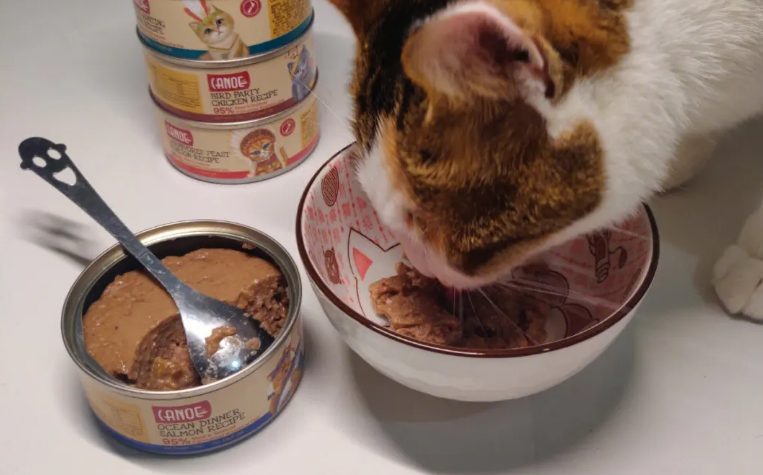 3元一罐的猫罐头能吃吗