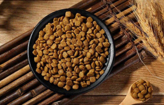 如何给老年狗自制狗粮 如何给老年狗自制狗粮
