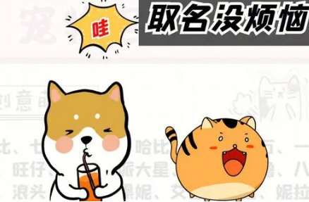 很小众却很惊艳的宠物名字 很小众却很惊艳的宠物名字