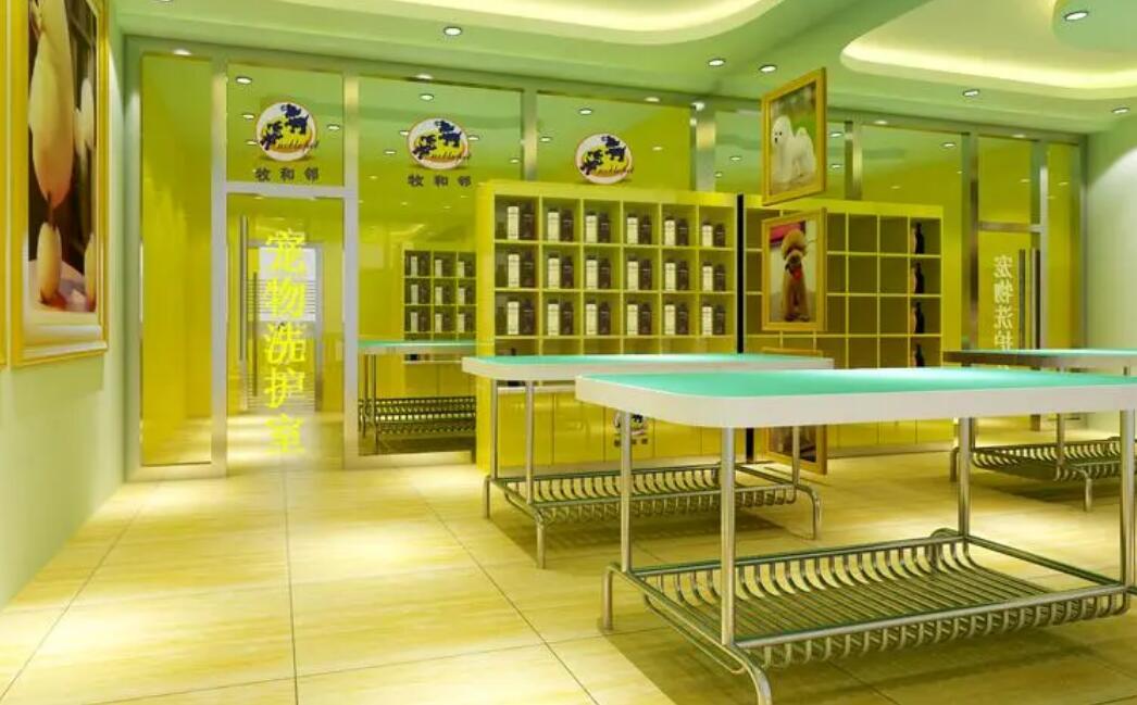 加盟宠物店大概多少钱