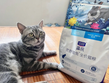 蓝氏猫粮多少钱一斤 蓝氏猫粮多少钱一斤