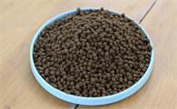 买不起猫粮用什么代替好呢？
