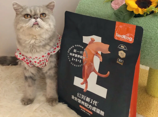 红狗猫粮属于什么档次