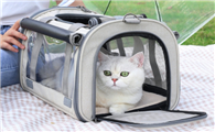 坐火车可以带宠物猫吗有宠物包的