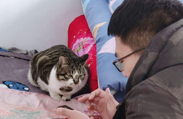 两只相处和睦的猫突然翻脸是怎么了? 两只相处和睦的猫突然翻脸是怎么了?