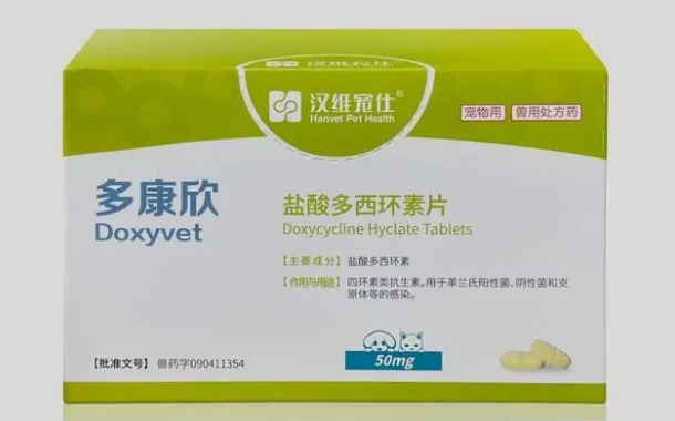 猫感冒了吃什么药?莫比新了解一下 猫感冒了吃什么药?莫比新了解一下