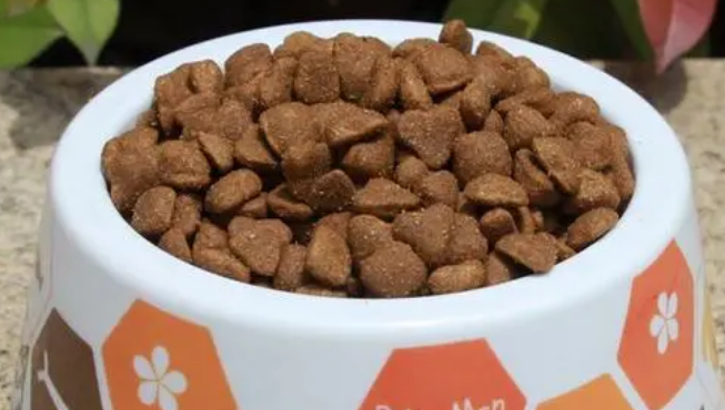 如何选护家狗幼犬狗粮呢