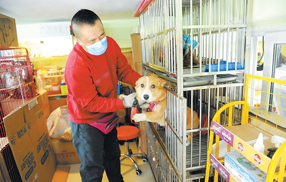 去宠物店工作需要什么条件呢