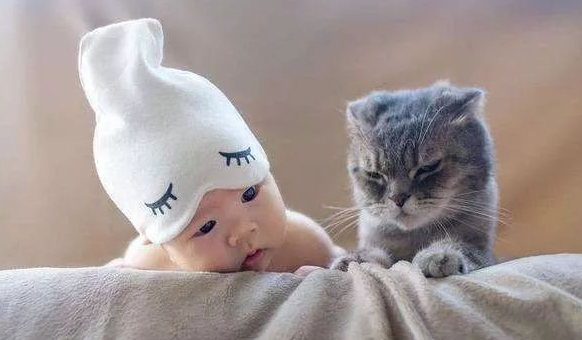 新生儿怕猫咪是为什么
