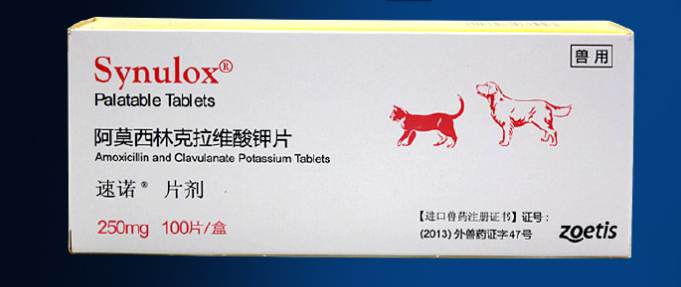 猫的消炎药买哪种