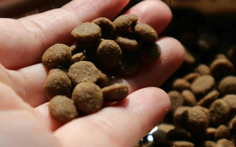 狗粮太大颗怎么弄小