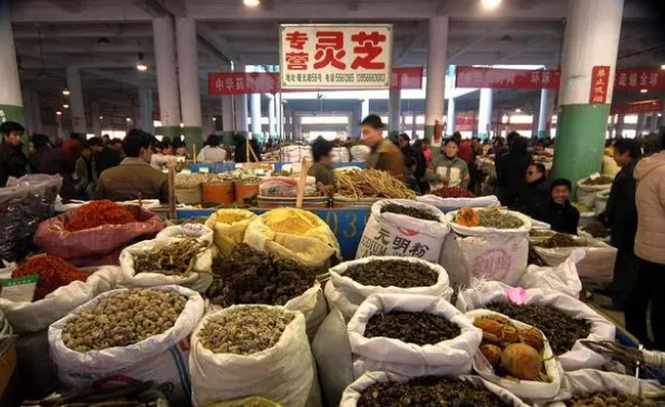 金大康中兽药专题｜减抗时代，中兽药的机会在哪里？