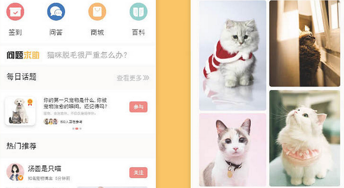 宠物市场这个软件怎么样 宠物市场这个软件怎么样
