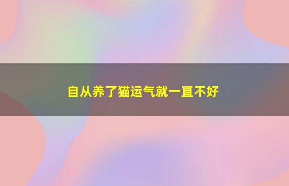自从养了猫,运气就一直不好 自从养了猫,运气就一直不好