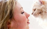 猫毛过敏6个级别区别