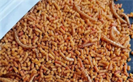 自制北红尾鸲饲料