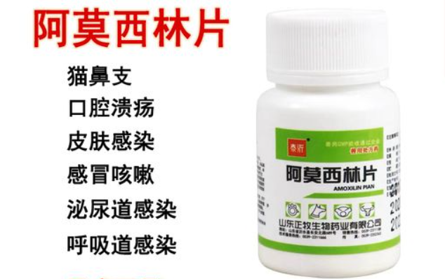 阿莫西林是万能消炎药吗