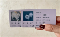 狗狗托运必须要狗证吗