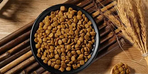 如何加盟狗粮供应商呢