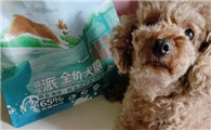 如何给泰迪狗买狗粮吃