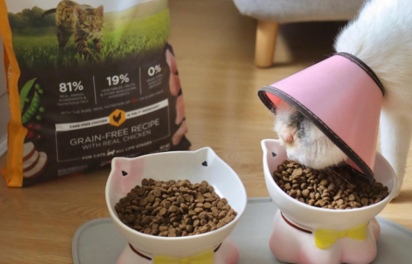 品牌猫粮排行榜前十名