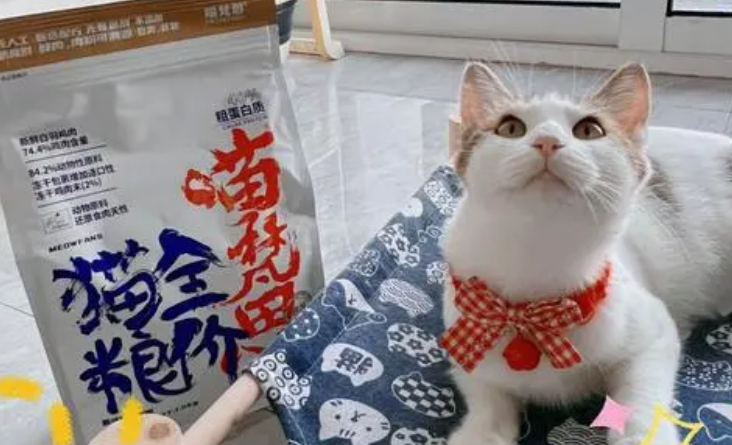 喵梵思老王的真名身份资料 喵梵思老王的真名身份资料