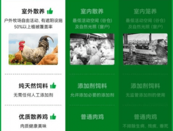 认真养猫，Open Farm自由牧场给你更好的品质 