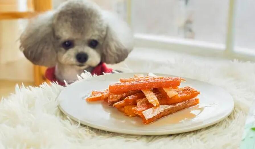 宠物食品营业执照怎么办理 宠物食品营业执照怎么办理