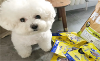 比熊的狗粮什么牌子好