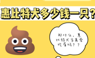 惠比特犬多少钱一只？据说惠比特犬爱吃屎？