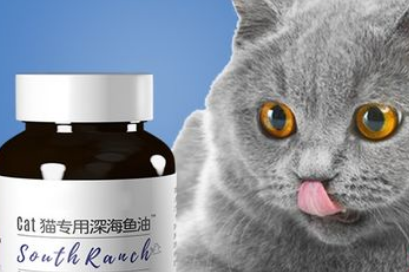 猫咪鱼油排名前十位