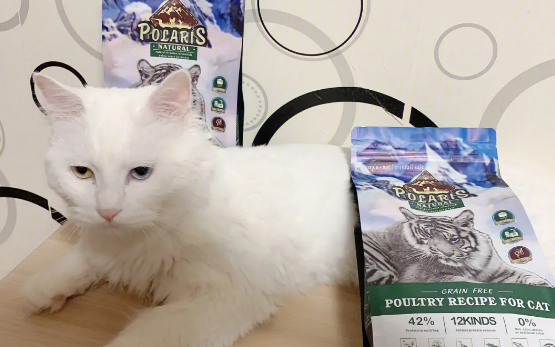 极耀猫粮怎么样?一篇文章告诉你 极耀猫粮怎么样?一篇文章告诉你