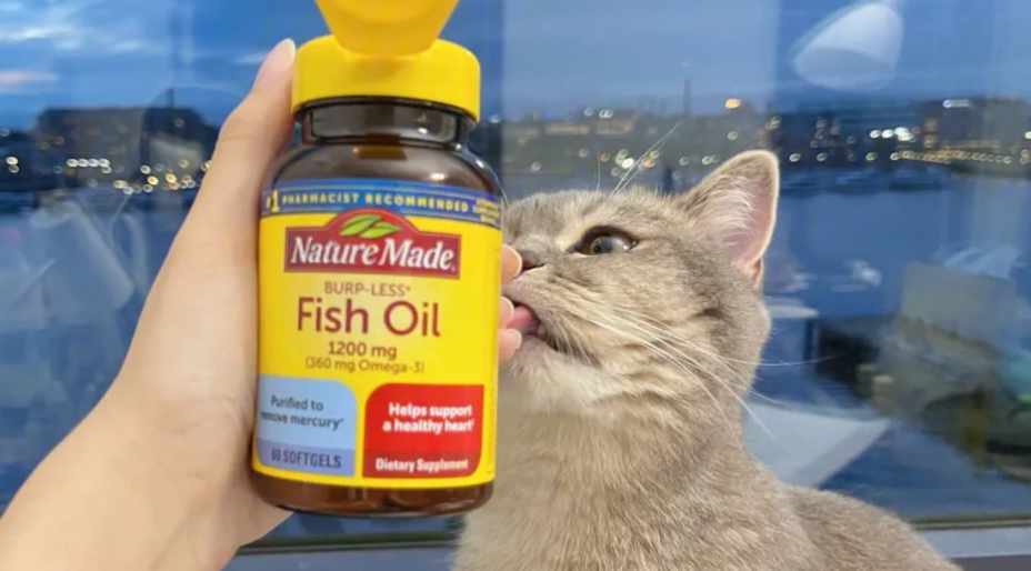 猫咪鱼油排行榜10强