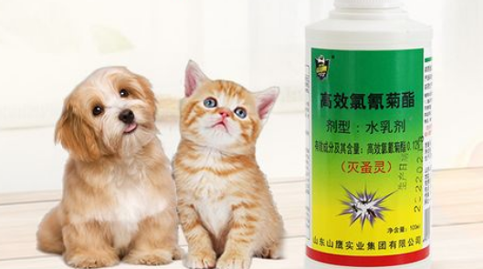狗喷了杀虫气雾剂中毒的解毒 狗喷了杀虫气雾剂中毒的解毒