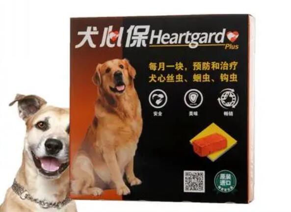 小型犬用什么驱虫药好一点 小型犬用什么驱虫药好一点