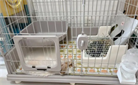 兔子笼下面垫什么