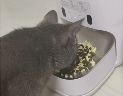 猫粮自动喂食器